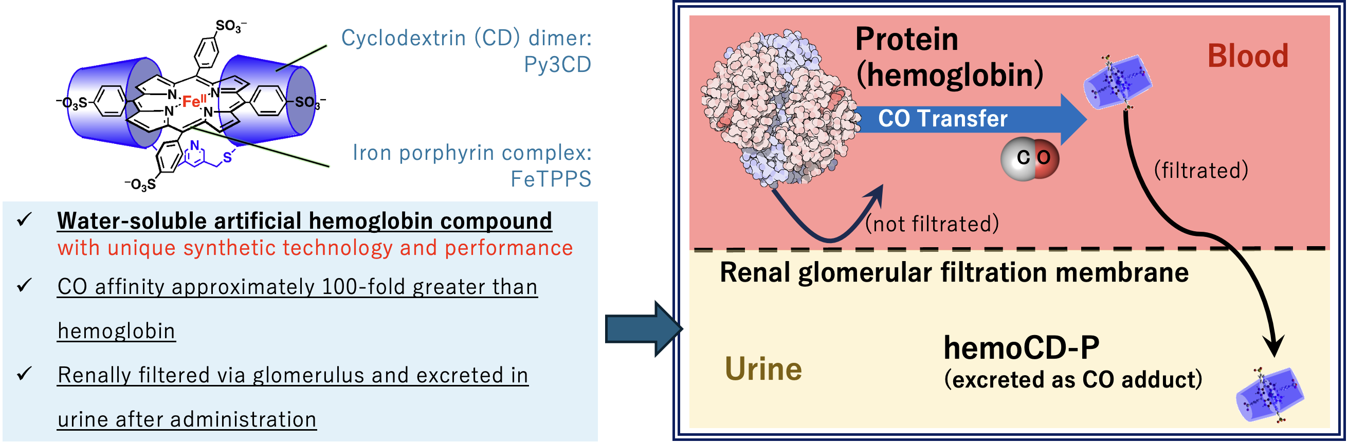 Mechanism by which hemoCD captures CO from blood and enables urinary excretion