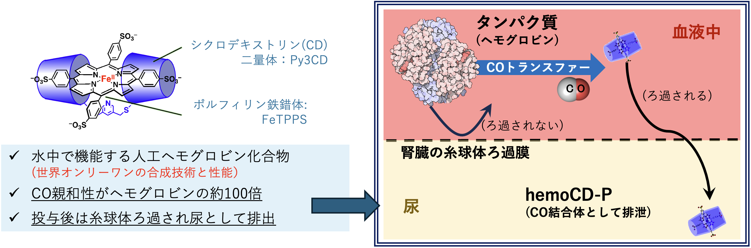 hemoCDが血中のCOを捕捉して尿中へ排出する作用機序